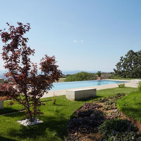 Grandono Agriturismo In Maremma 스칸사노 외부 사진
